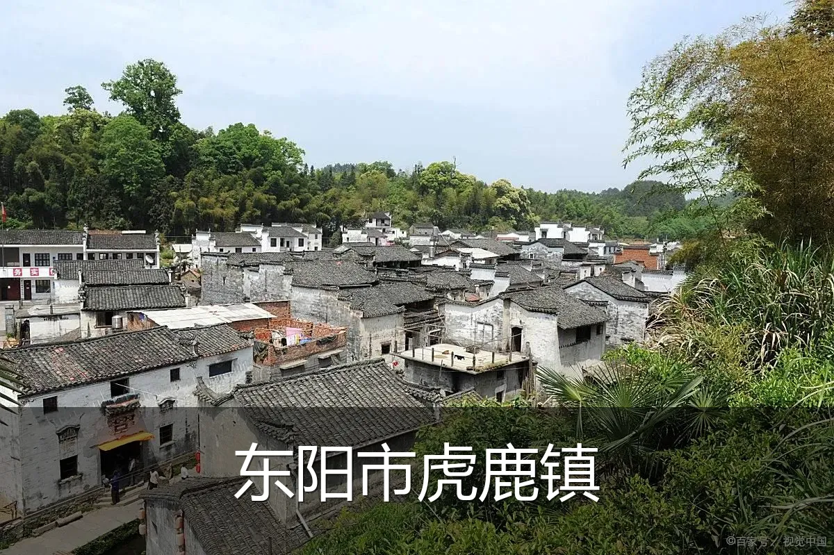 东阳市虎鹿镇