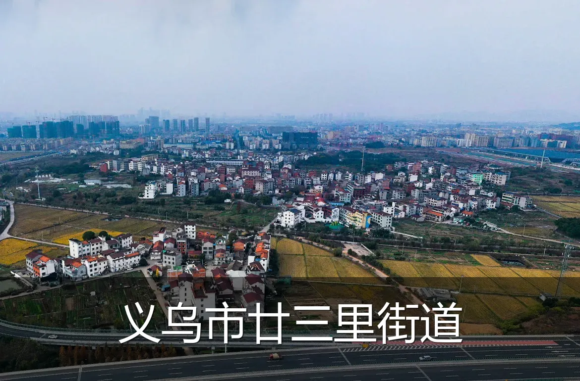 义乌市廿三里街道