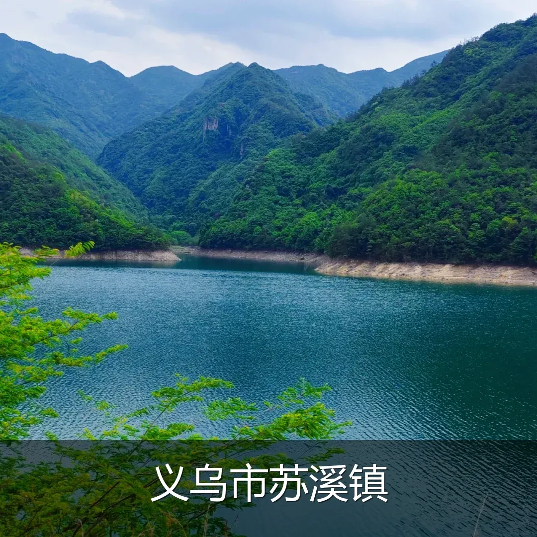 义乌市苏溪镇