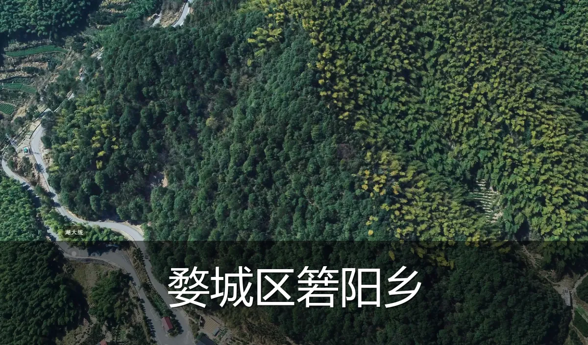 婺城区箬阳乡