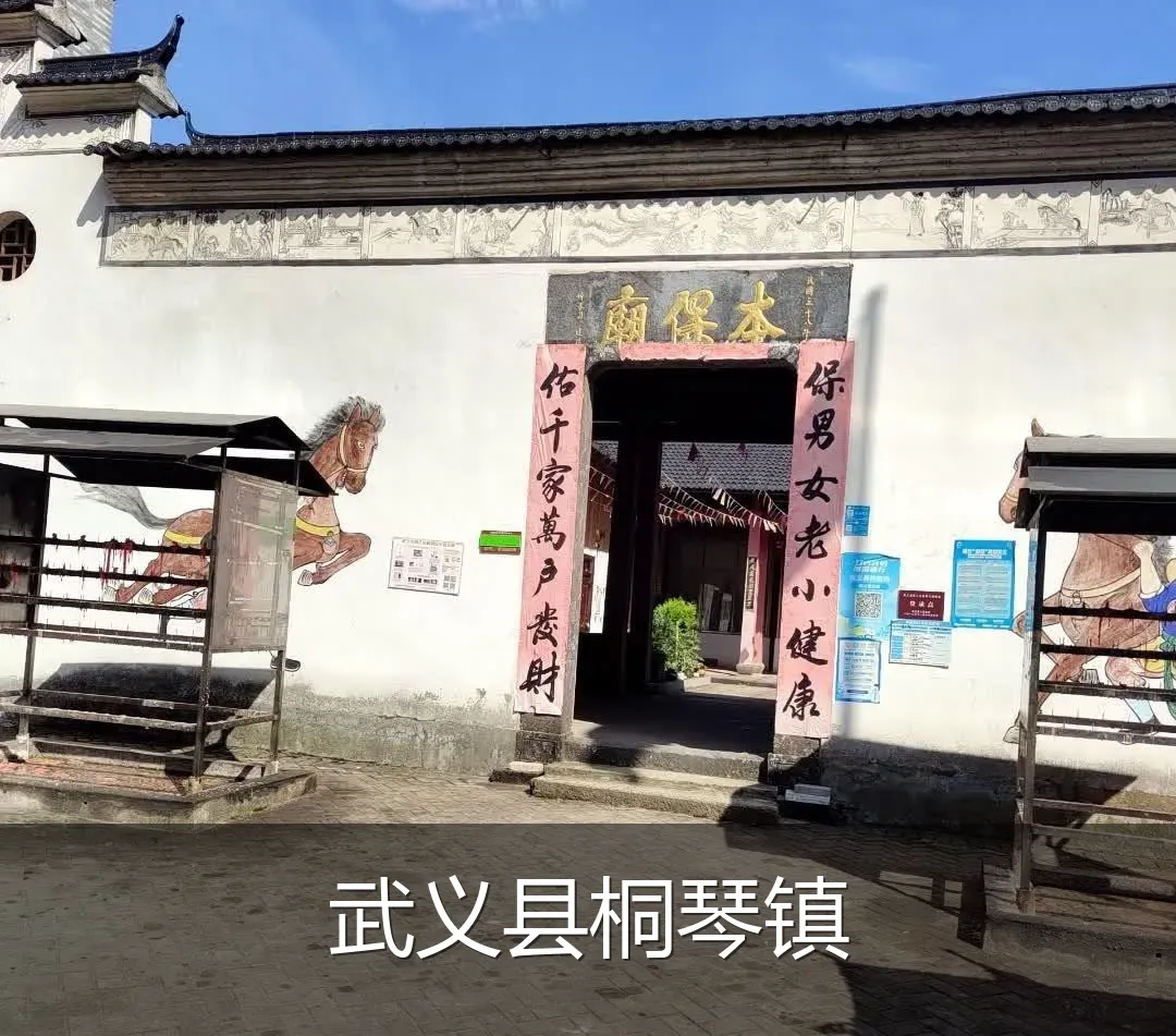 武义县桐琴镇