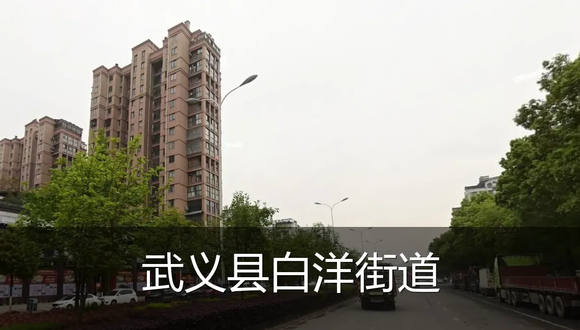 武义县白洋街道