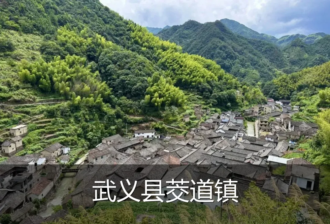 武义县茭道镇