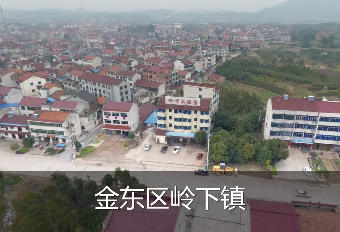 金东区岭下镇