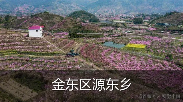 金东区源东乡